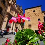 Apartment Rua Boutique Salamanca