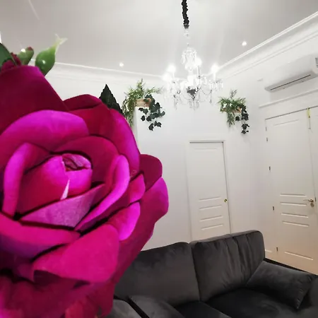 Rua Boutique * Salamanca