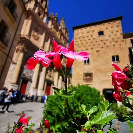 Apartment Rua Boutique Salamanca