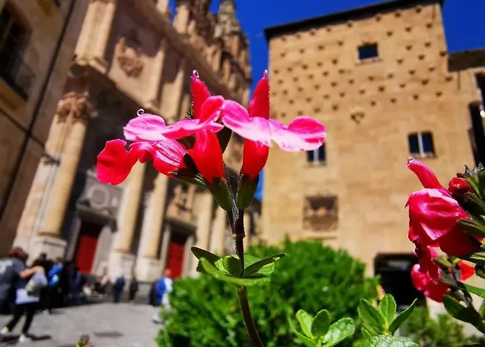 Apartamento Rua Boutique Salamanca